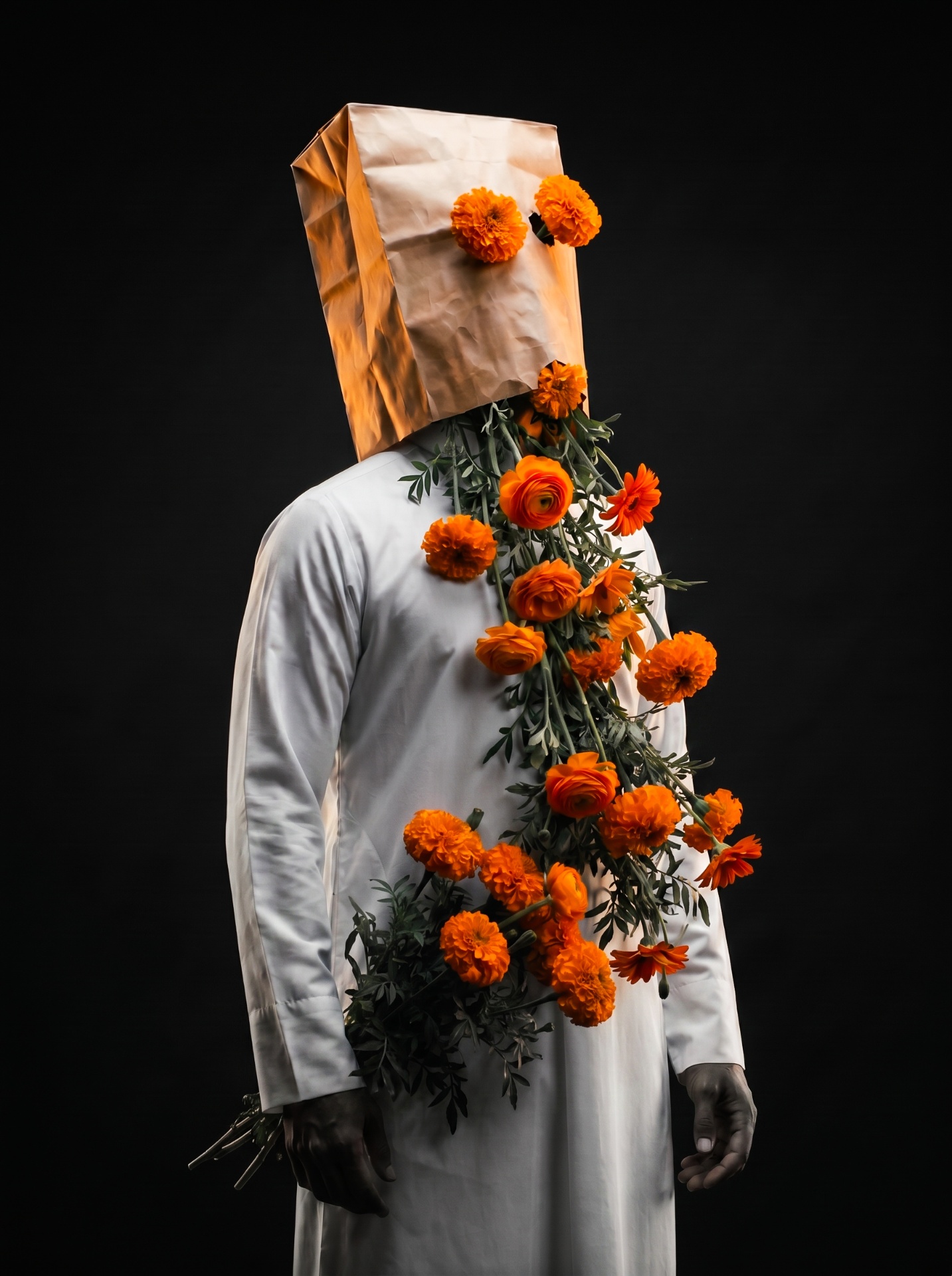 Static Bloom